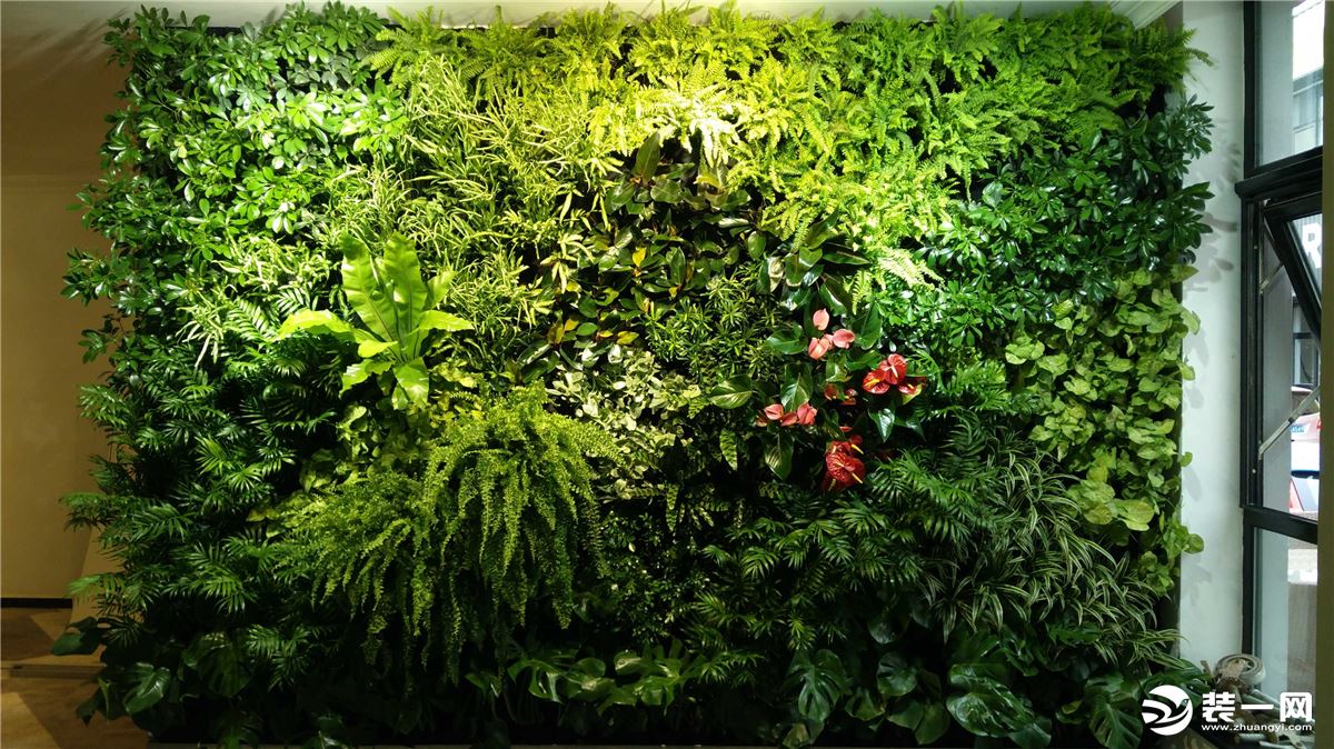 室内植物墙图片分享